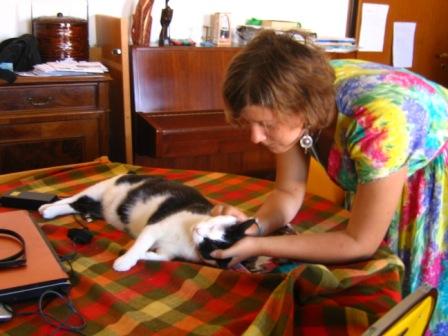 de poes
Indy