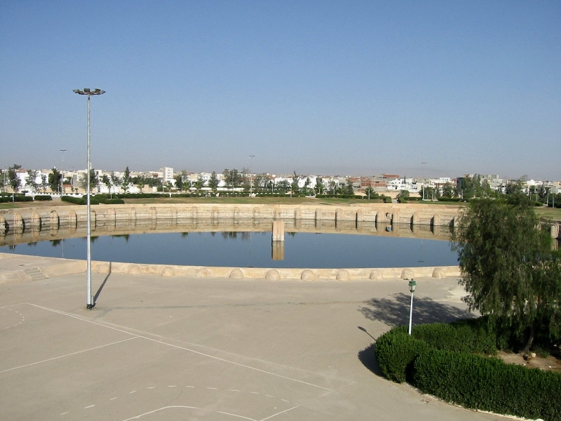 Img 0419