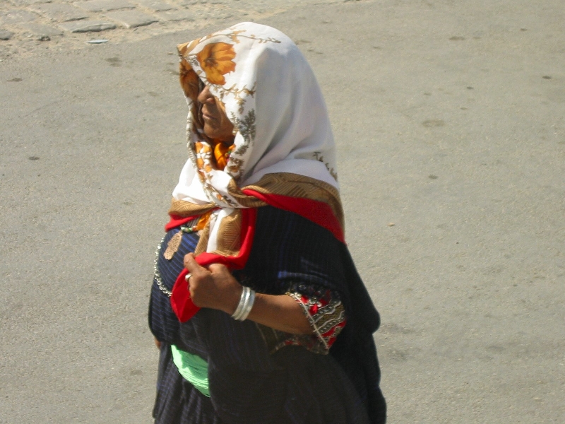 Img 0451