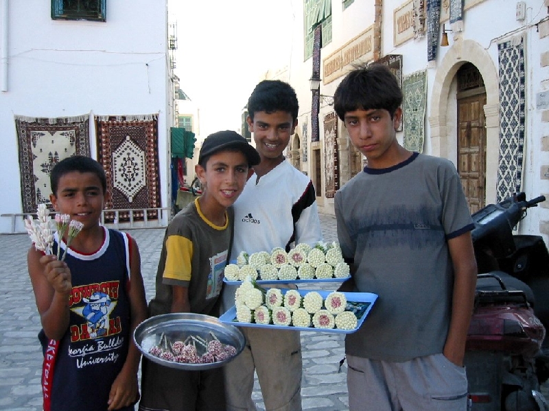 Img 0334