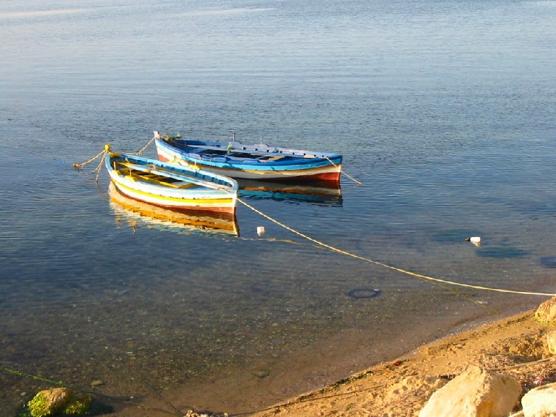 Img 0353