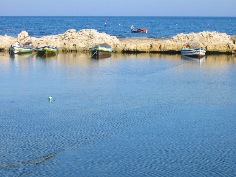 Img 0374