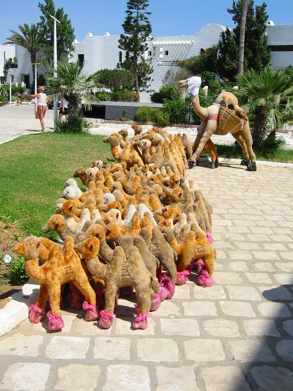 Img 0531