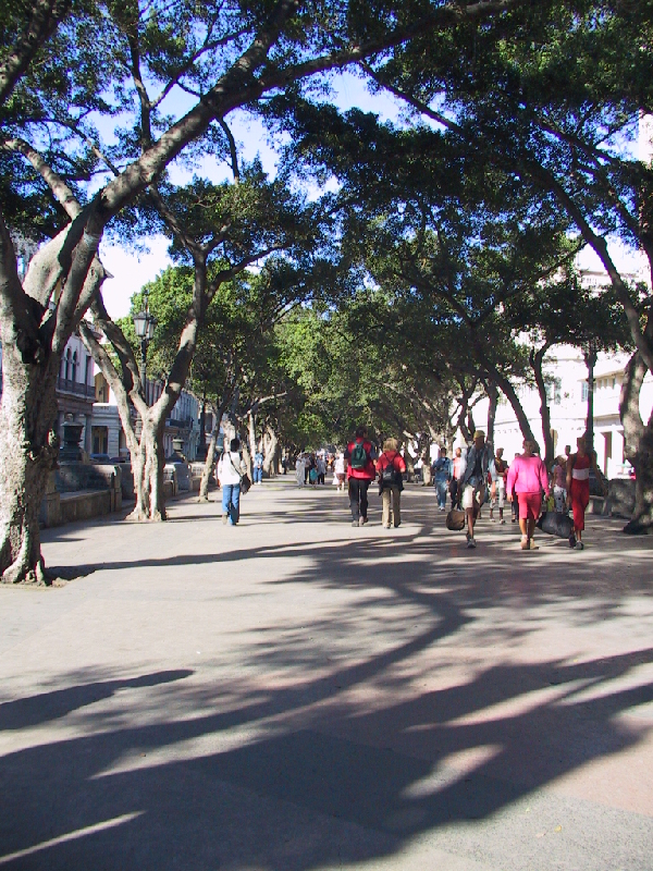 244.paseo