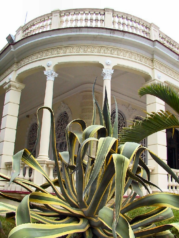 289.vedado
