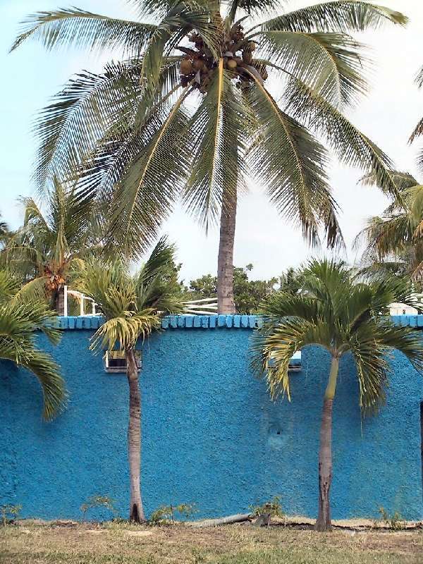 258.playa s.lucia