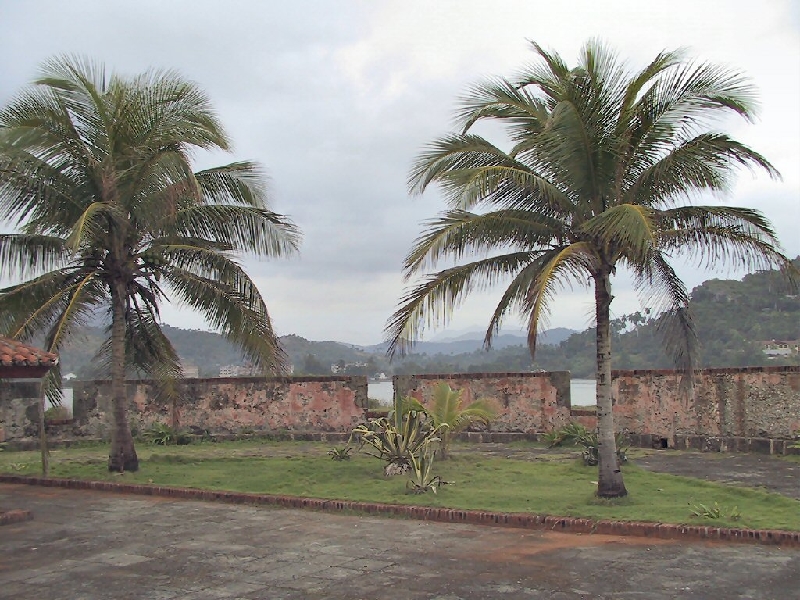 291.palms