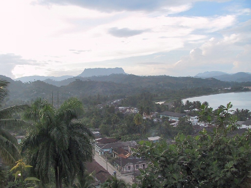 294.view