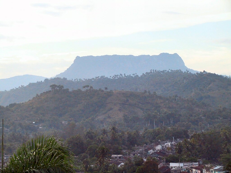 295.elyunque