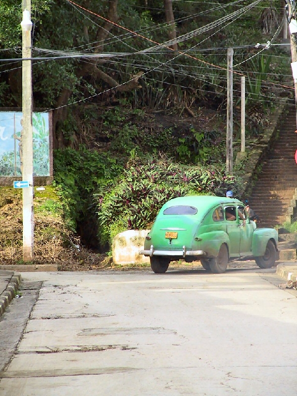 306.greencar