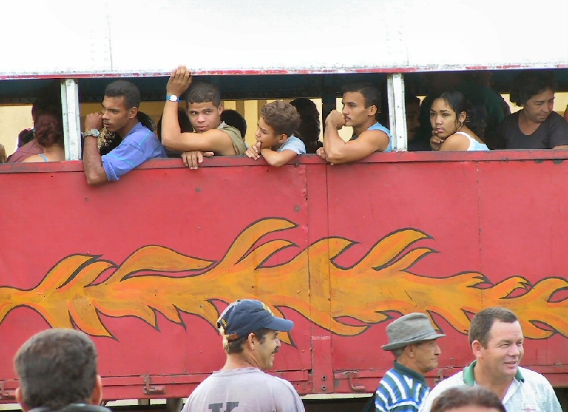 307.truck bus