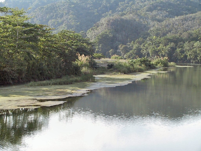 316.rio miel