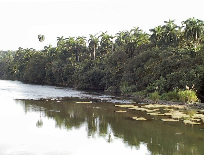 317.rio miel