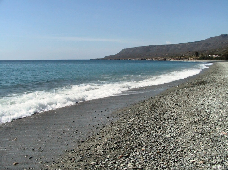 339.playa