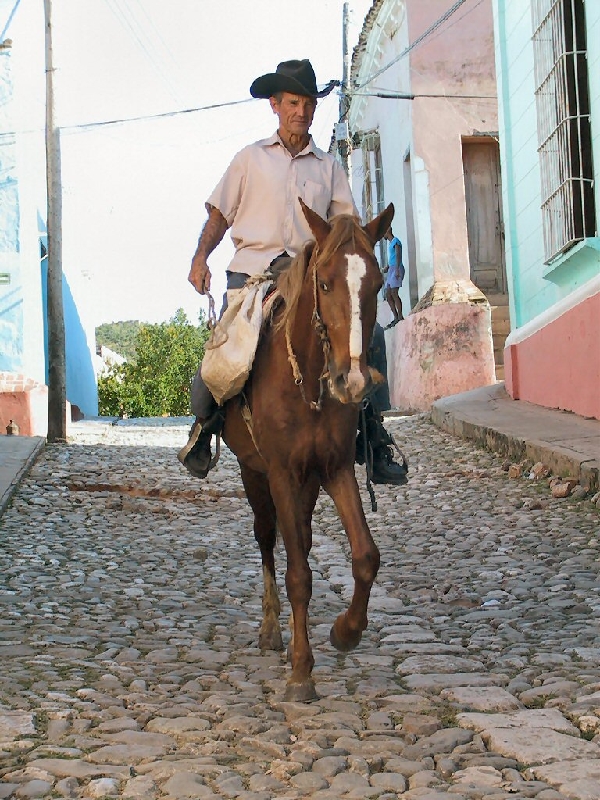 428.horse rider