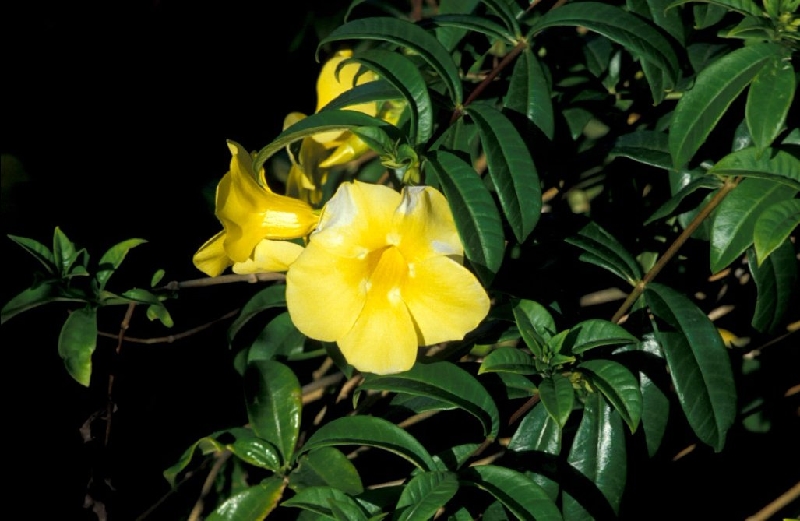 026