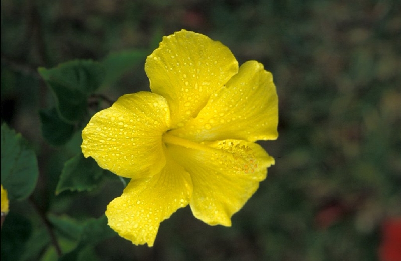 028