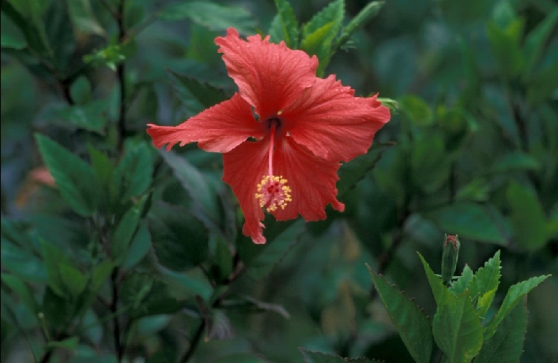 029