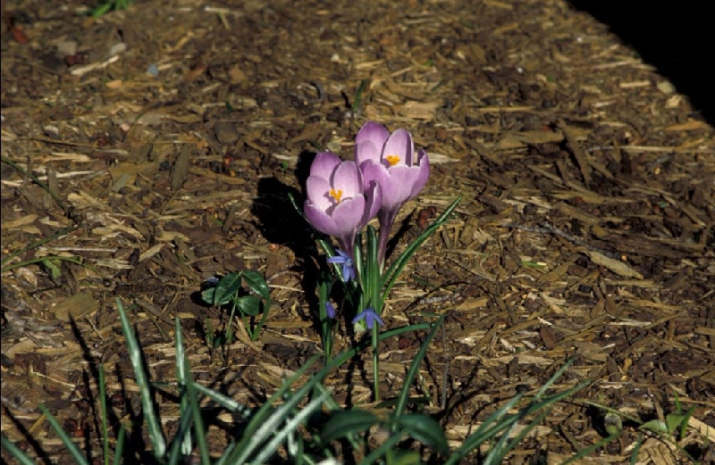 032