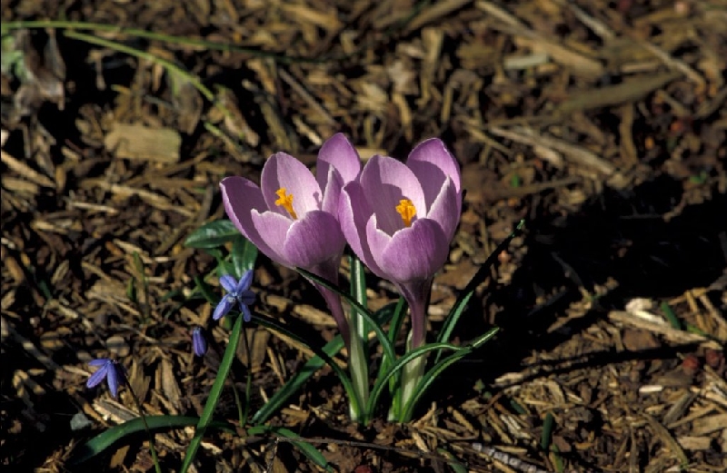 033