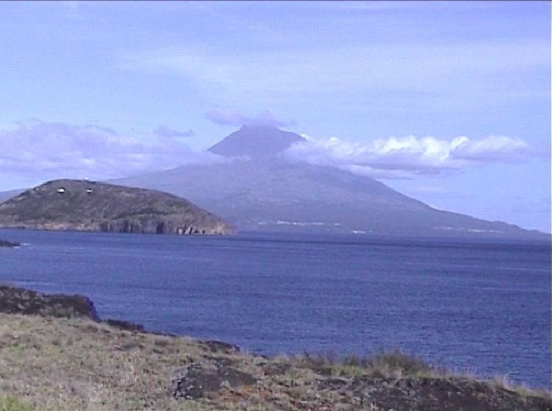 el pico