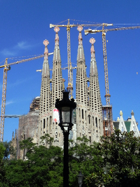DSCN0318