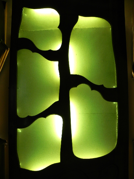 DSCN0507