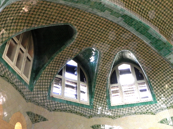 DSCN0592