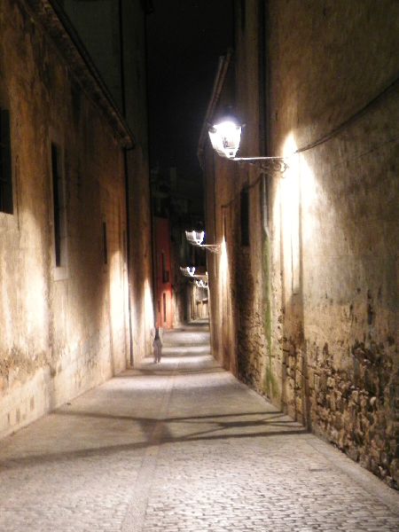 DSCN0629