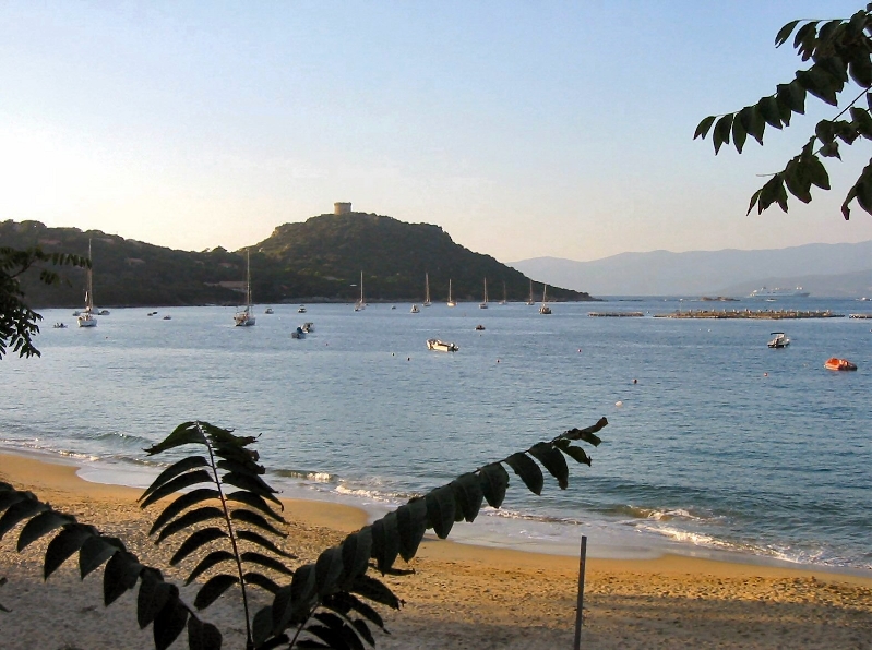 111.campomoro