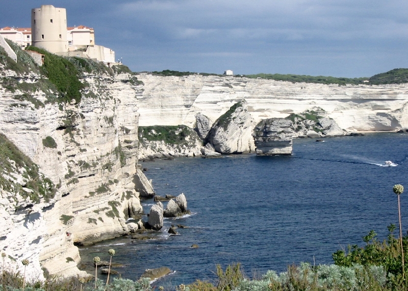 135.bonifacio