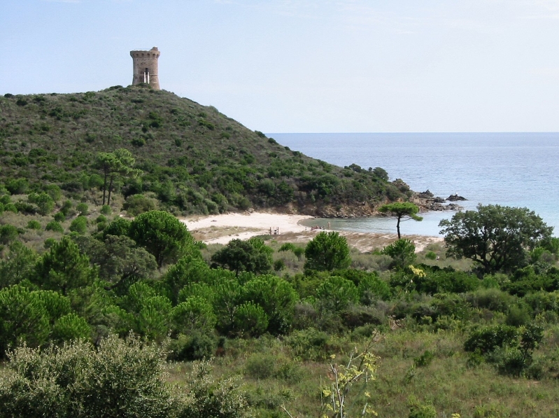 168.anse de fautea
