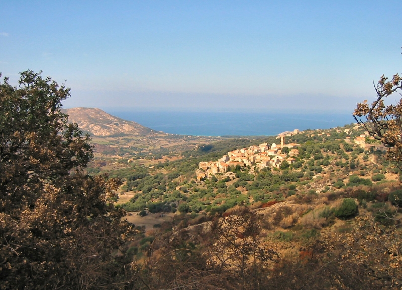 240.balagne