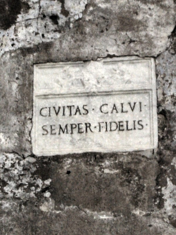 268.calvi fidelis