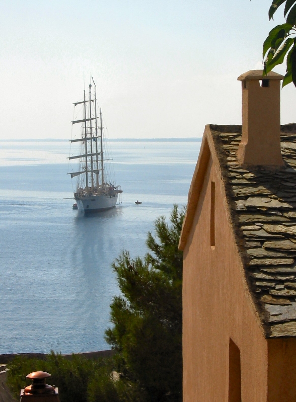 363.view