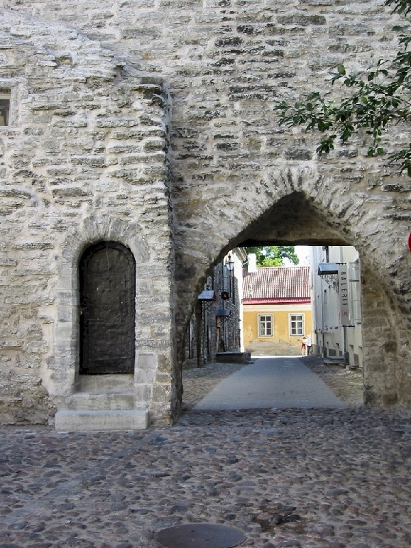 Img 1525