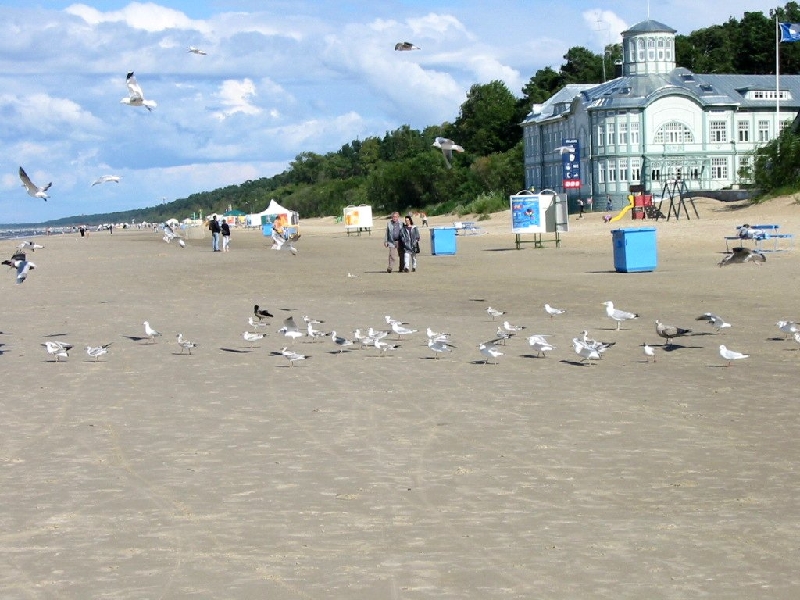 Img 1441