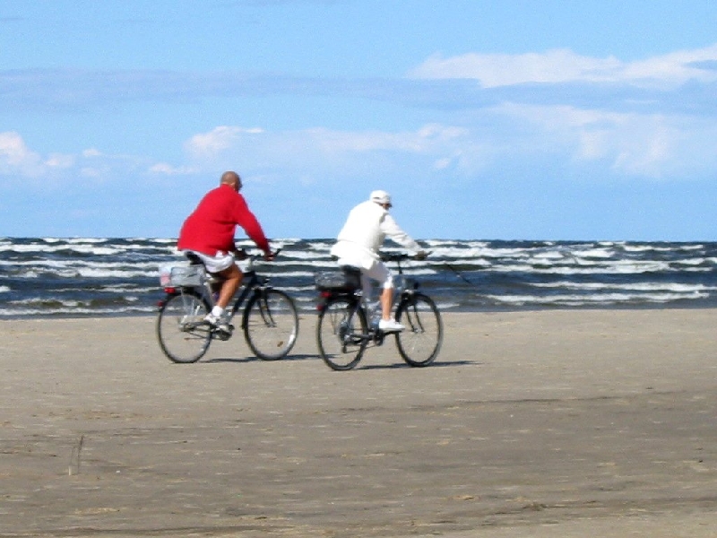 Img 1447