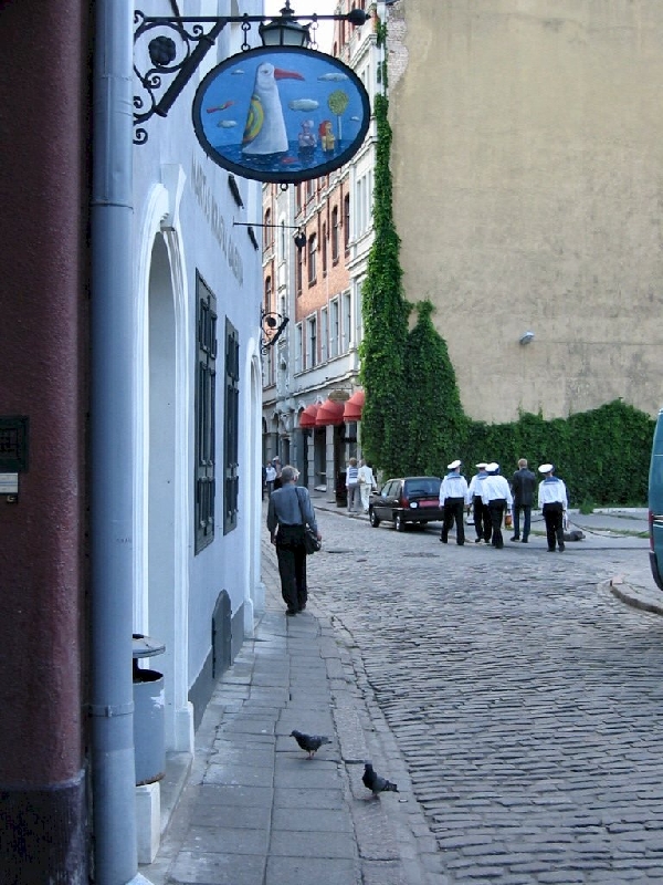 Img 1453