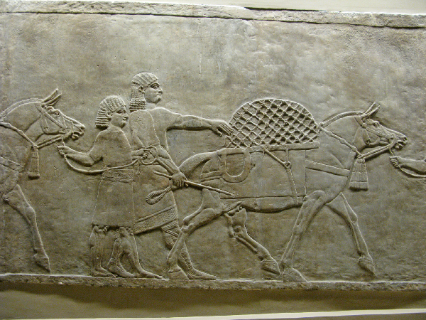 245.british museum