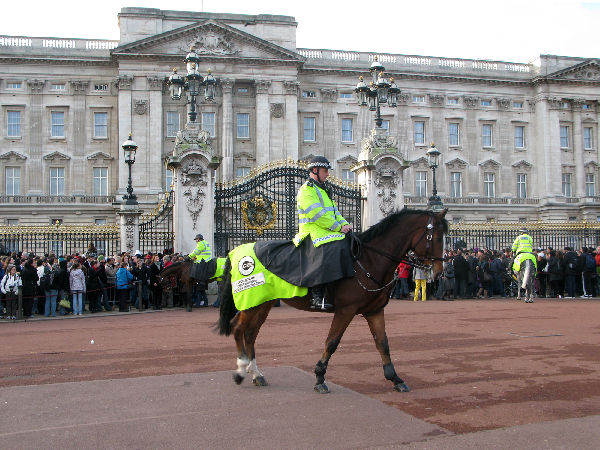 37.buckingham