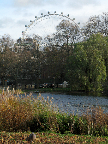 51.london eye