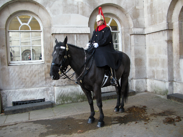 58.horseguard