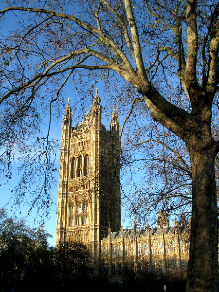 85.parliament