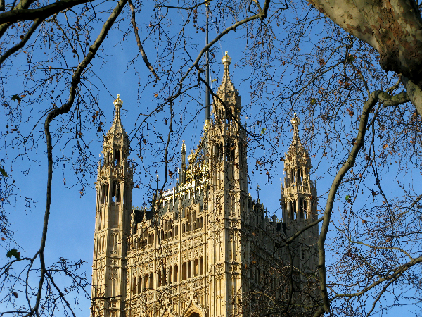 86.parliament