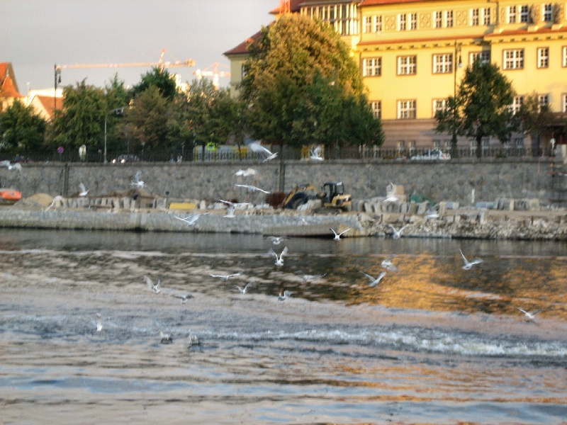 Img 2014