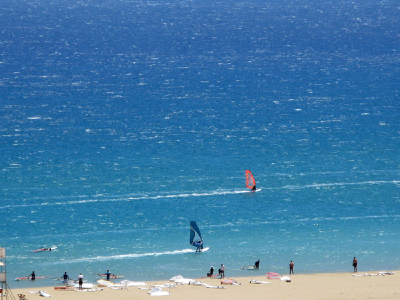 1270.windsurfers