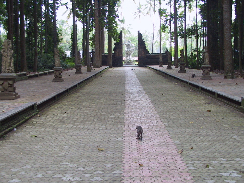 monkey temple