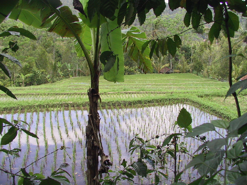 munduk walk1
