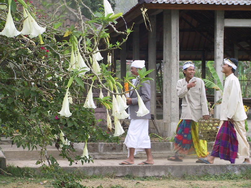 procession2